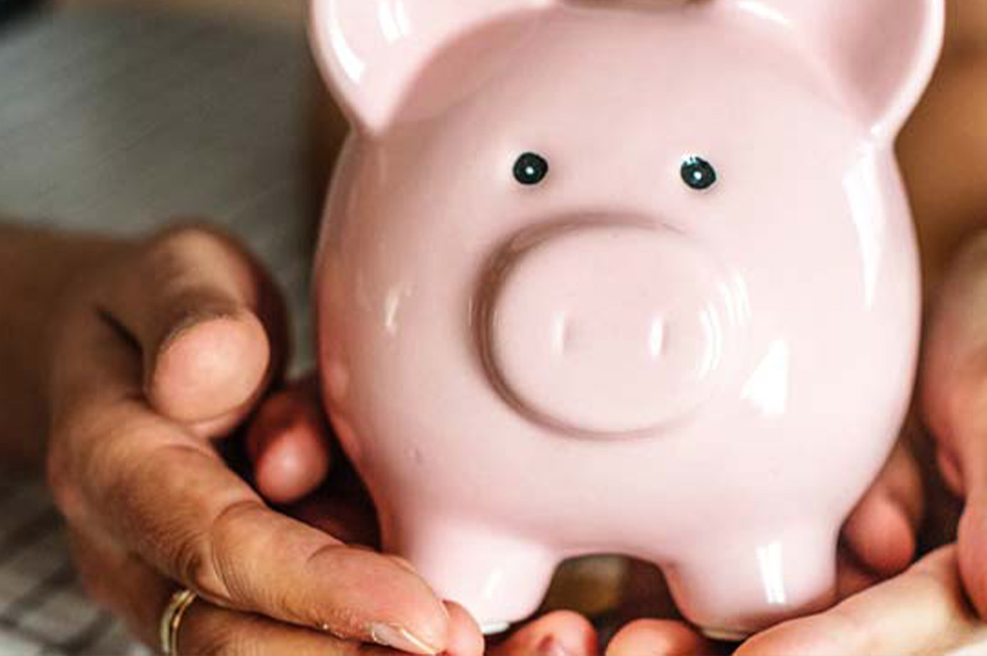 Image of two people holding a piggy bank in their hands