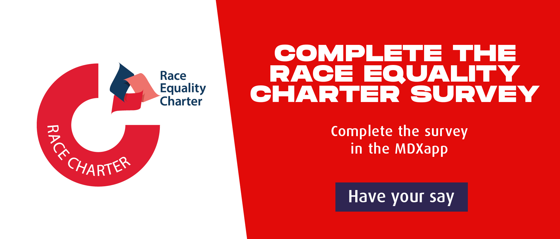 Race equality charter header